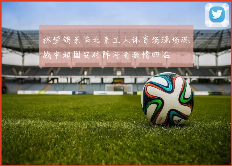 林梦鸽亲临北京工人体育场现场观战中超国安对阵河南激情四溢